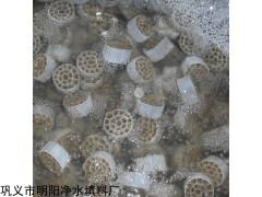 污水处理MBBR流化床填料技术核心