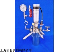天津?qū)嶒?yàn)室微型高壓反應(yīng)釜小型反應(yīng)釜