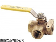 CONBRACO单向阀