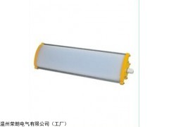 防爆防腐全塑型荧光灯 RLY52荧光灯