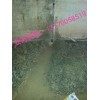 鹽城市污水廠水池漏水快速堵漏