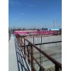 杭州市地下墻壁漏水快速堵漏