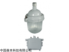 NFC9112防眩泛光灯