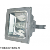 NFE9100防眩棚顶灯