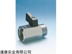 意大利F.lli GHIOTTO接頭