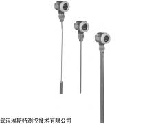 E+H智能型導(dǎo)波雷達(dá)物位計FMP40