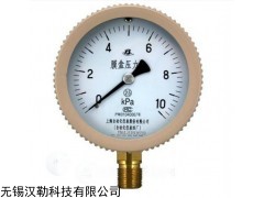 YE-100不锈钢膜盒压力表