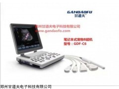 猫狗宠物B超怎样测孕方法教程，小动物B超测孕超声图像视频