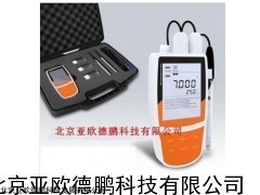 多参数水质检测仪DP900P-CN