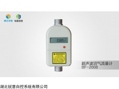 戶用超聲波沼氣流量計BF-2008
