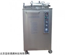 压灭菌锅DP-B100L