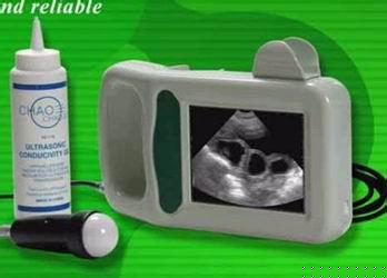 兽用妊娠诊断仪DP/2200C