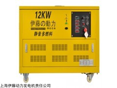 伊藤动力12KW全自动汽油发电机YT12RGF-ATS