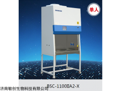 生物安全柜價格優(yōu)惠 廠家直銷