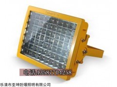 LED防爆灯应急灯100W,防爆应急灯70W