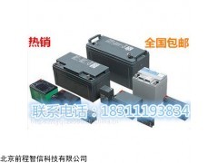 Panasonic松下蓄電池 LC-R064R2