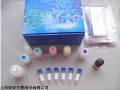 48t/96t 大鼠内皮型一氧化氮合成酶ELISA Kit