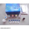 48t/96t 大鼠內(nèi)皮型一氧化氮合成酶ELISA Kit