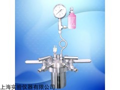 河南實(shí)驗(yàn)室高壓反應(yīng)釜 小型微型反應(yīng)釜