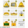低壓LED防爆燈36V 防爆LED平臺燈AC/DC36V圖片