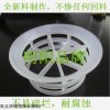 威海合成氨廠脫碳用階梯環填料