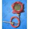 SXM-946-Bl防爆数显温度计品牌有哪些