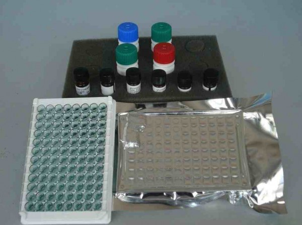  人白介素1β (IL-1β)ELISA測定試劑盒說明書