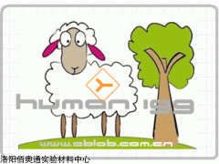 C020234羊抗人IgG（γ chain）