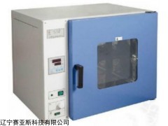 促销SYS-GK-9023AS干热灭菌器厂家
