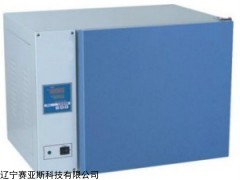 供應SYS-DHP-9052電熱恒溫干燥培養箱廠家