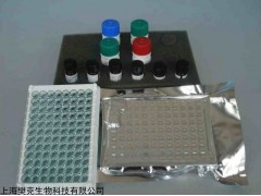 48t/96t 小鼠碳酸酐酶2(CA-2)ELISA 试剂盒