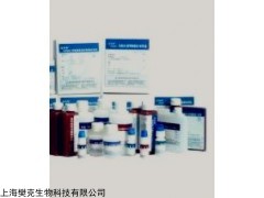 48t/96t 小鼠胰蛋白酶(trypsin)ELISA试剂盒说明书