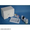 48t/96t 小鼠二肽基肽酶Ⅳ(DPPⅣ)ELISA Kit