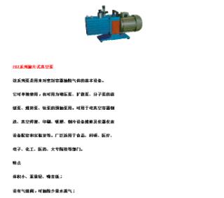 直联旋片式真空泵