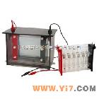 SX-SX3 双向电泳槽