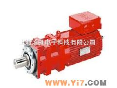 DV132S4 5.5KW 电机 德国赛威