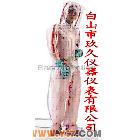 JL35 核防护类气衣