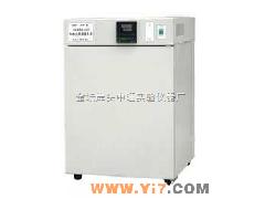 DNP-303-0電熱恒溫培養(yǎng)箱