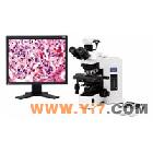 供应奥林巴斯数码图像产品DP20