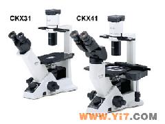 CKX41奧林巴斯倒置顯微鏡(上海供應(yīng)專區(qū)),日本進(jìn)口奧林巴斯