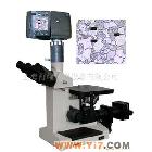 供应倒置金相显微镜 SMM-4300D