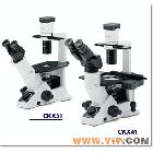 供应奥林巴斯生物显微镜CKX31,CKX41