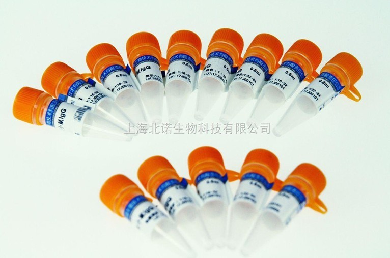 BDTM 纤维粘连蛋白，人TM Fibronectin, human354008