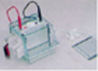 小型雙垂直板電泳槽 